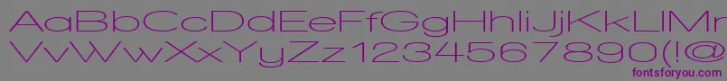 WalkwayUltraexpandSemibold-Schriftart – Violette Schriften auf grauem Hintergrund