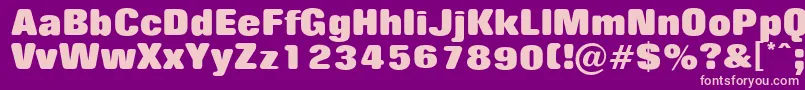 RollingNoOne Font – Pink Fonts on Purple Background