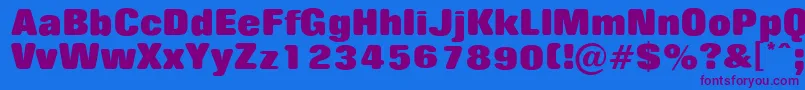 RollingNoOne Font – Purple Fonts on Blue Background