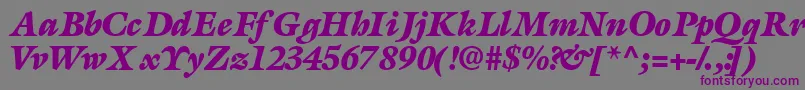 AcanthusblacksskBolditalic Font – Purple Fonts on Gray Background