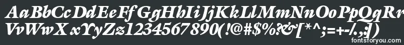 AcanthusblacksskBolditalic-Schriftart – Weiße Schriften auf schwarzem Hintergrund