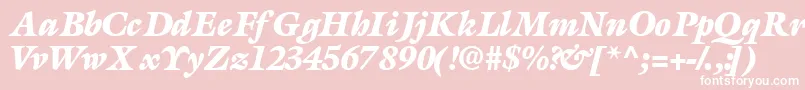 AcanthusblacksskBolditalic Font – White Fonts on Pink Background