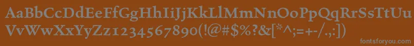 CelestiaantiquastdSemibold Font – Gray Fonts on Brown Background