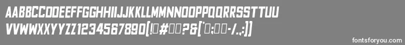 FyodorBoldcondensedoblique Font – White Fonts on Gray Background