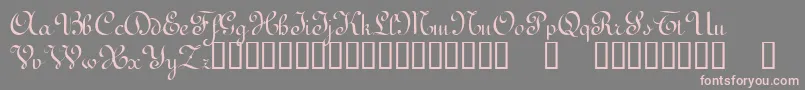 TerpsichoreTM Font – Pink Fonts on Gray Background