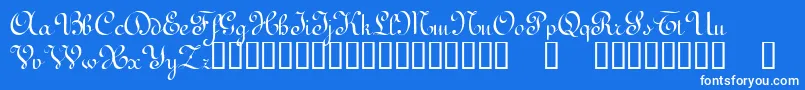 TerpsichoreTM Font – White Fonts on Blue Background