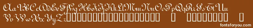 TerpsichoreTM Font – White Fonts on Brown Background