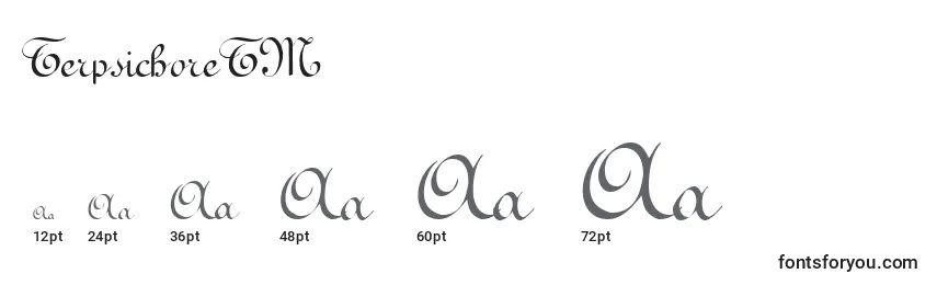 TerpsichoreTM Font Sizes