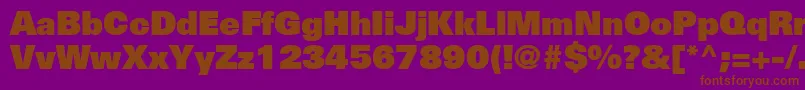 NovaUltraSsiExtraBlack Font – Brown Fonts on Purple Background