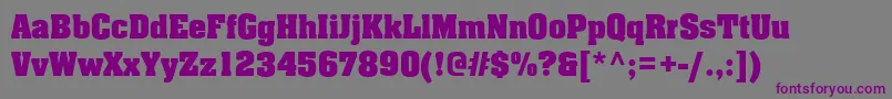AargauBold Font – Purple Fonts on Gray Background