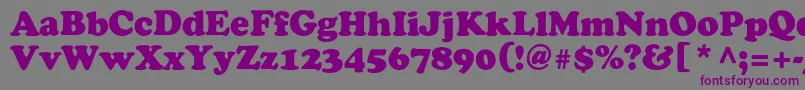 Osvaldblackc Font – Purple Fonts on Gray Background