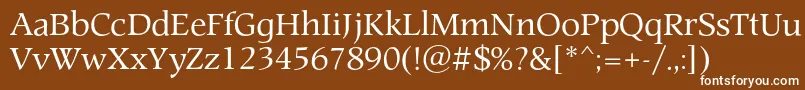 Prospectc Font – White Fonts on Brown Background