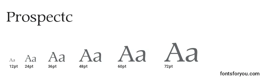 Prospectc Font Sizes