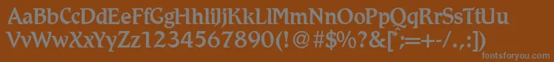 R790RomanMediumRegular Font – Gray Fonts on Brown Background