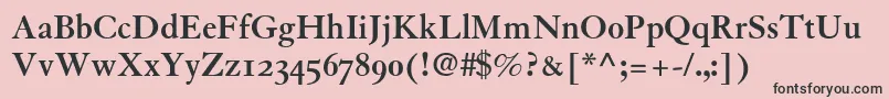 GranjonBoldOldStyleFigures Font – Black Fonts on Pink Background