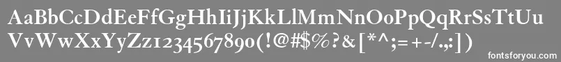 GranjonBoldOldStyleFigures Font – White Fonts on Gray Background