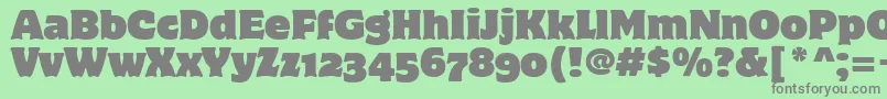 MotterCorpusOsItcTt Font – Gray Fonts on Green Background