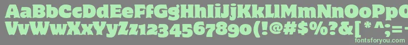 MotterCorpusOsItcTt Font – Green Fonts on Gray Background