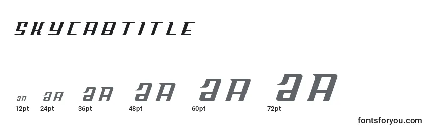 Размеры шрифта Skycabtitle