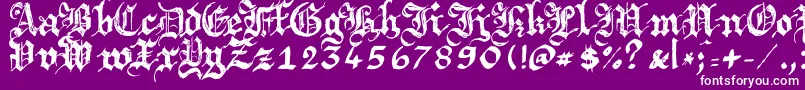 Argbrujs Font – White Fonts on Purple Background