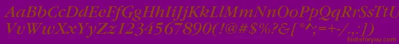 GarfeldNovaItalic Font – Brown Fonts on Purple Background