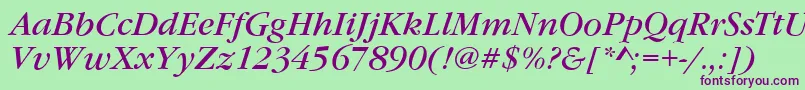 GarfeldNovaItalic Font – Purple Fonts on Green Background