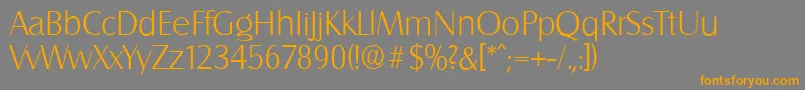 SalzburgserialXlightRegular Font – Orange Fonts on Gray Background