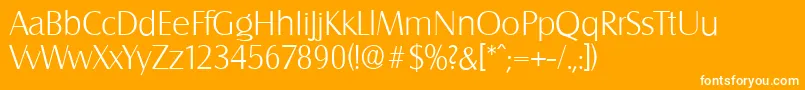 SalzburgserialXlightRegular Font – White Fonts on Orange Background