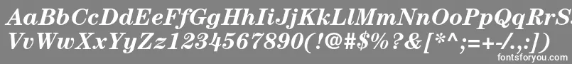 フォントCenturystdBolditalic – 灰色の背景に白い文字