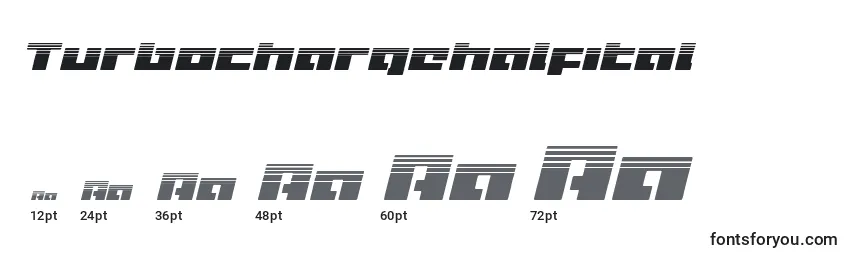 Turbochargehalfital Font Sizes