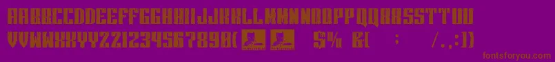 Intransigencia Font – Brown Fonts on Purple Background
