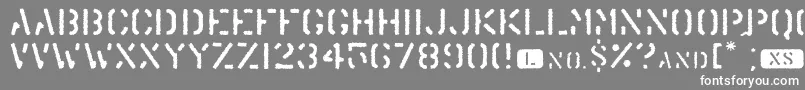 Trenu Font – White Fonts on Gray Background