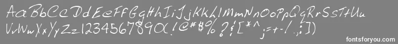 Lehn009 Font – White Fonts on Gray Background