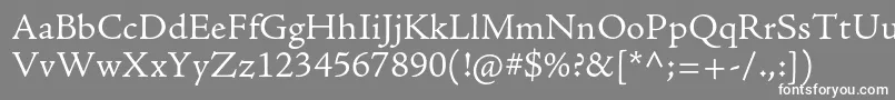 フォントAjensonproLtcapt – 灰色の背景に白い文字