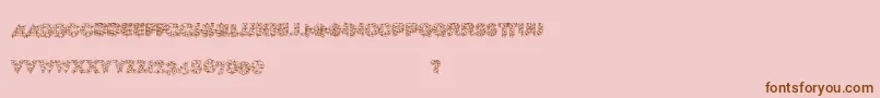 Xmaslite Font – Brown Fonts on Pink Background