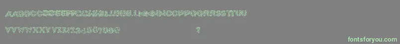 More about Xmaslite Font Xmaslite Font – Green Fonts on Gray Background