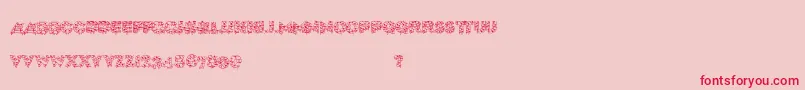 Xmaslite Font – Red Fonts on Pink Background