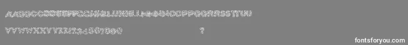 フォントXmaslite – 灰色の背景に白い文字