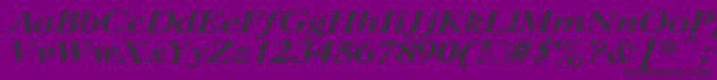 CasloncttBoldItalic Font – Black Fonts on Purple Background