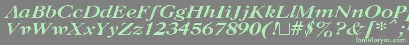 CasloncttBoldItalic-Schriftart – Grüne Schriften auf grauem Hintergrund