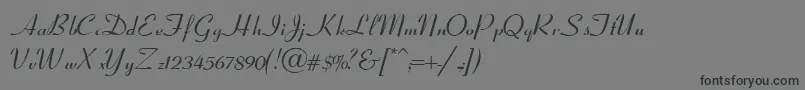 fuente CoronetScriptSsiItalic – Fuentes Negras Sobre Fondo Gris