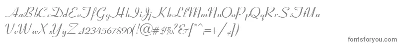 フォントCoronetScriptSsiItalic – 白い背景に灰色の文字