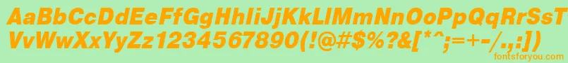 PragmaticaCondensedBlackOblique Font – Orange Fonts on Green Background