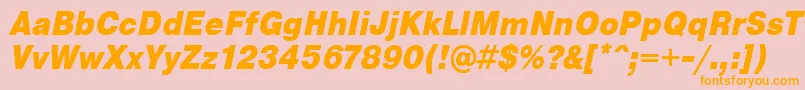 PragmaticaCondensedBlackOblique Font – Orange Fonts on Pink Background