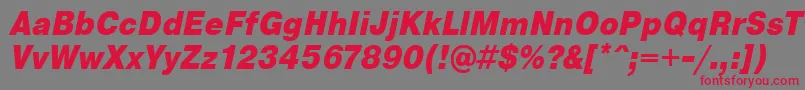 PragmaticaCondensedBlackOblique-Schriftart – Rote Schriften auf grauem Hintergrund