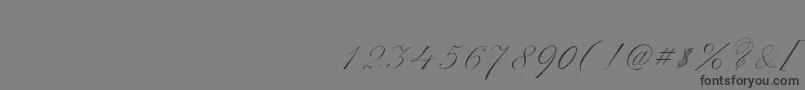 ScriptThinPen Font – Black Fonts on Gray Background