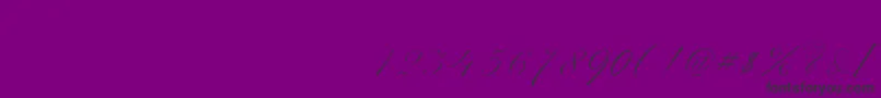 ScriptThinPen-Schriftart – Schwarze Schriften auf violettem Hintergrund