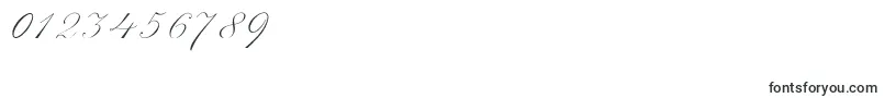 ScriptThinPen-Schriftart – Schriften für Zahlen und Nummern