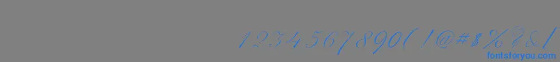 Police ScriptThinPen – polices bleues sur fond gris