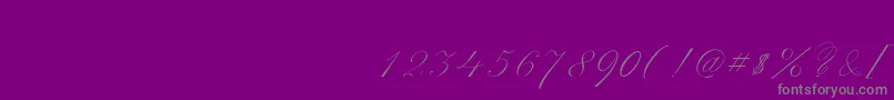 ScriptThinPen-Schriftart – Graue Schriften auf violettem Hintergrund